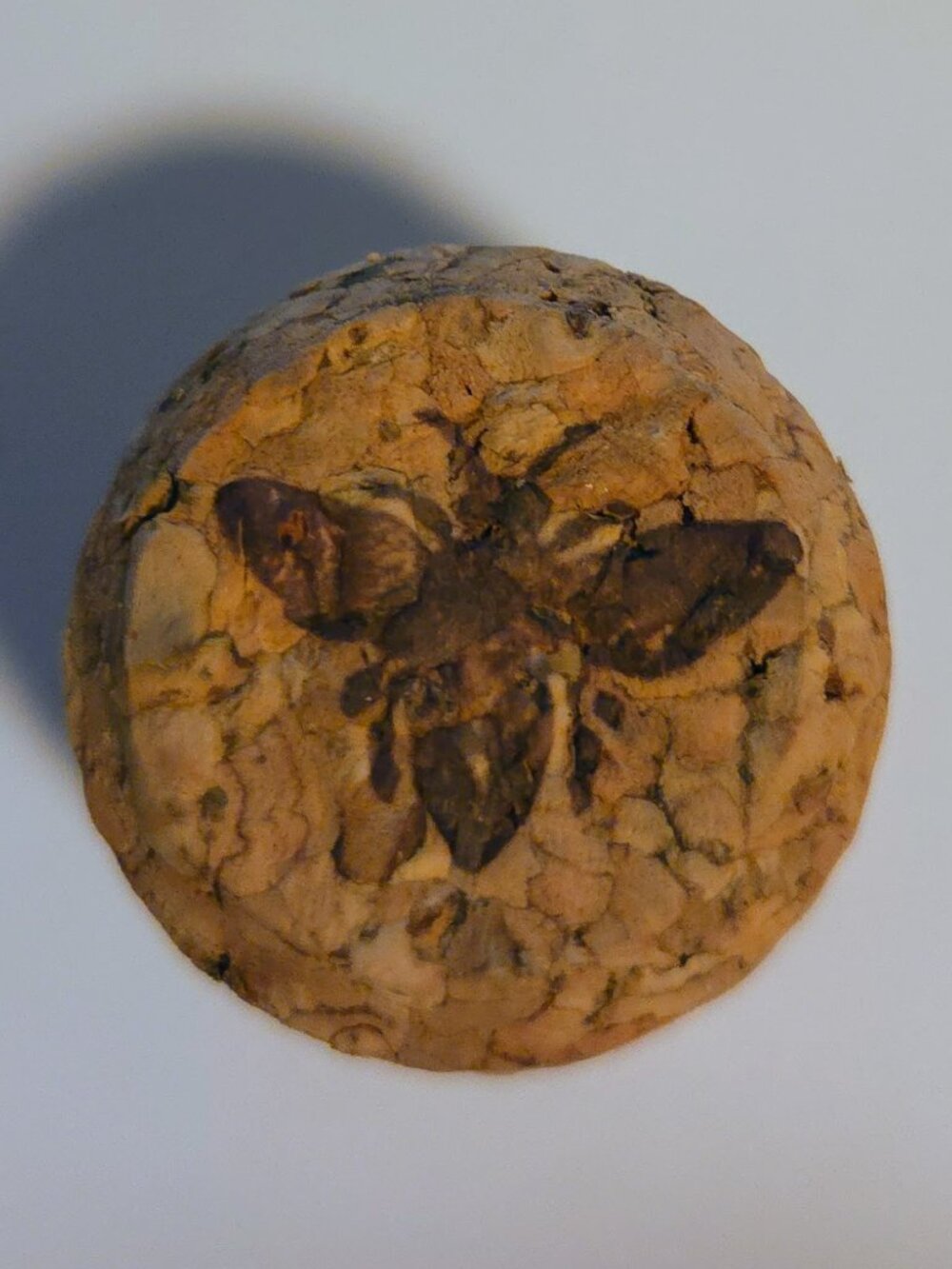 Brand New Hand Crafted Magnet Created from Champagne Cork Featuring a Honey Bee